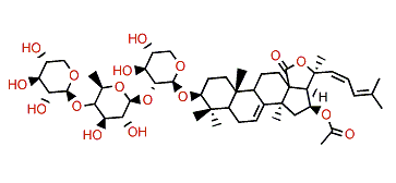 Cucumarioside B1